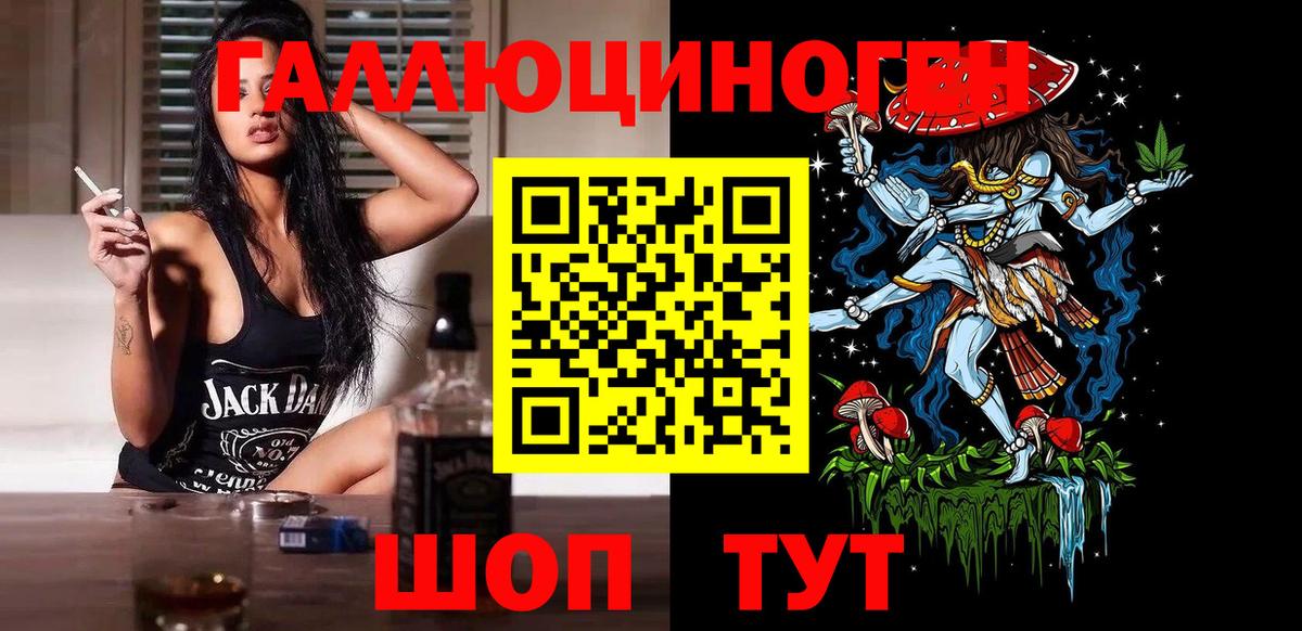 Богданович  Галлюциногенные грибы Psilocybine cubensis  хочу   Вход с VPN 