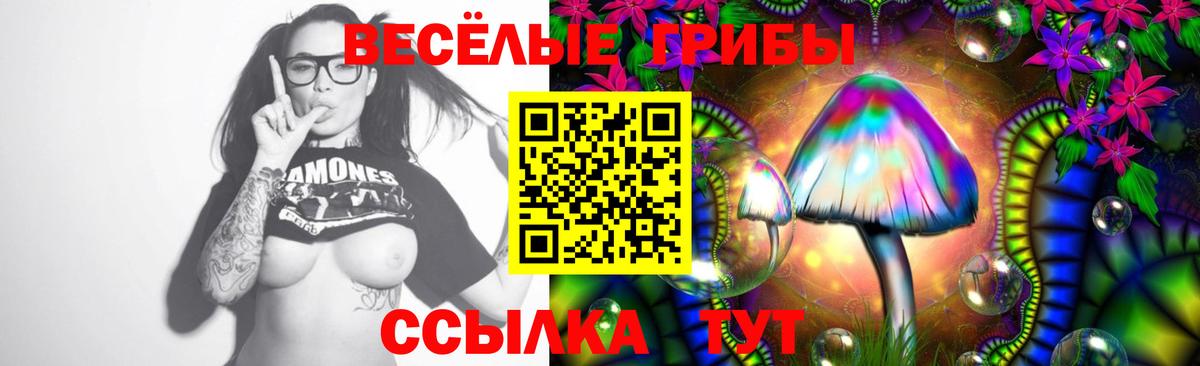 Псилоцибиновые грибы Psilocybine cubensis Богданович